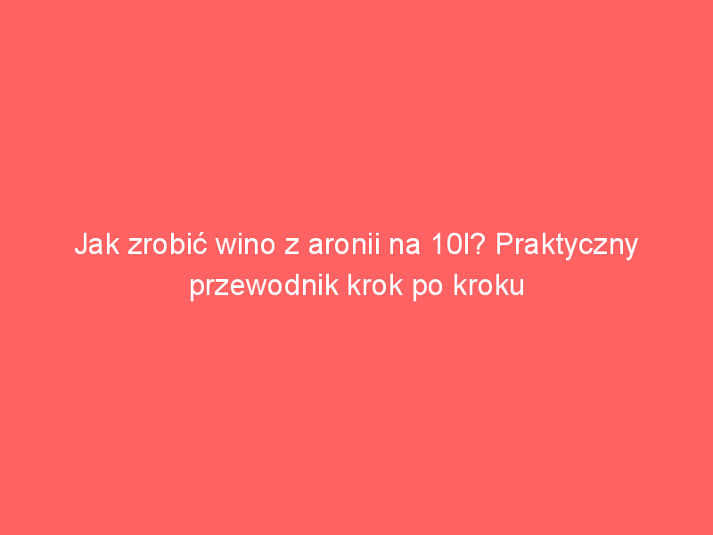 jak zrobic wino z aronii na 10l praktyczny przewodnik krok po kroku 4023