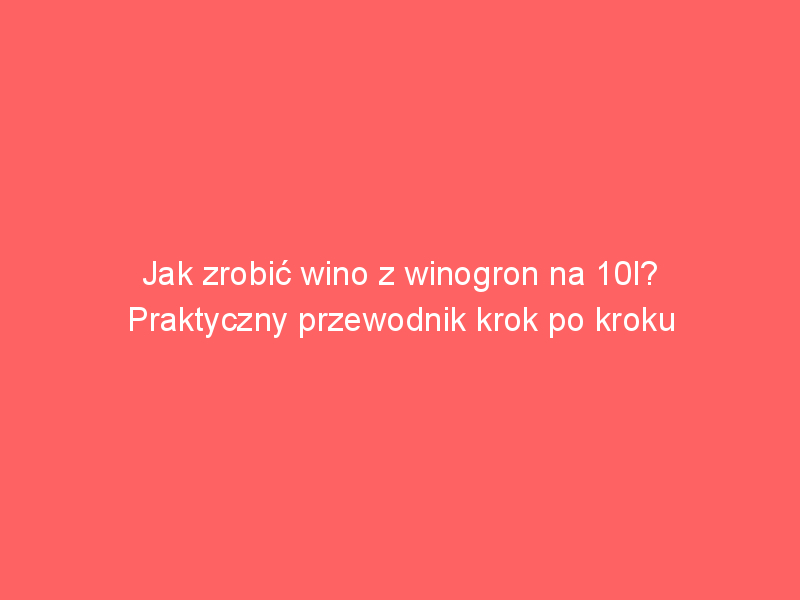 jak zrobic wino z winogron na 10l praktyczny przewodnik krok po kroku 4069
