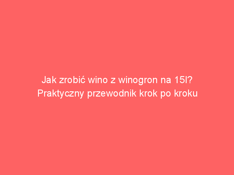 jak zrobic wino z winogron na 15l praktyczny przewodnik krok po kroku 4209