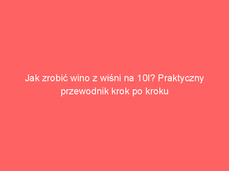jak zrobic wino z wisni na 10l praktyczny przewodnik krok po kroku 4005