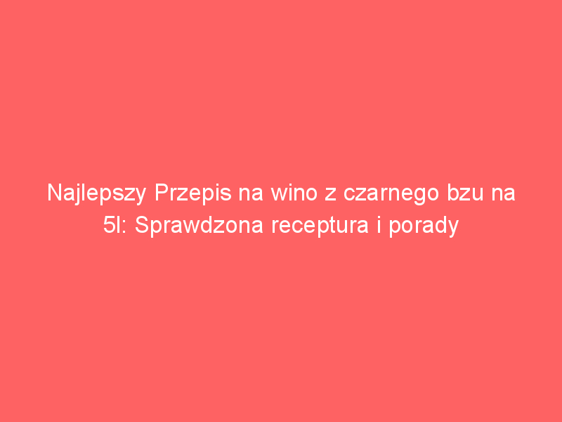 najlepszy przepis na wino z czarnego bzu na 5l sprawdzona receptura i porady 4195