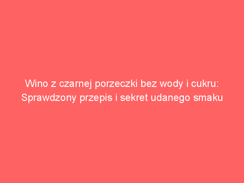 wino z czarnej porzeczki bez wody i cukru sprawdzony przepis i sekret udanego smaku 3887
