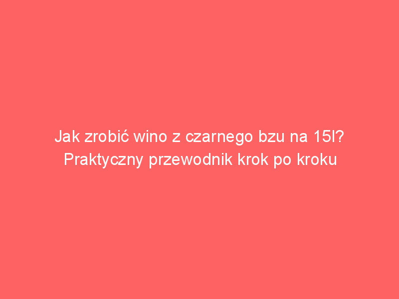 jak zrobic wino z czarnego bzu na 15l praktyczny przewodnik krok po kroku 4325