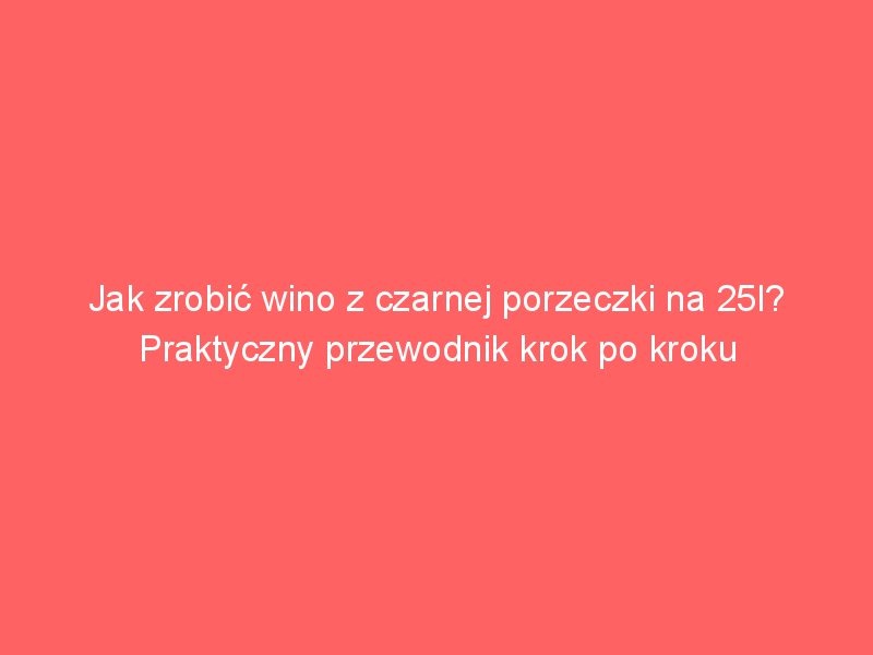 jak zrobic wino z czarnej porzeczki na 25l praktyczny przewodnik krok po kroku 4357