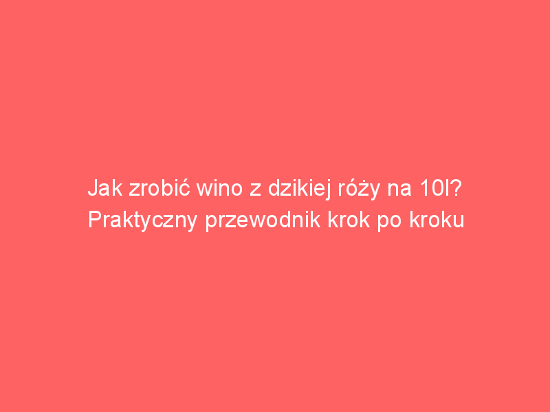 jak zrobic wino z dzikiej rozy na 10l praktyczny przewodnik krok po kroku 4245