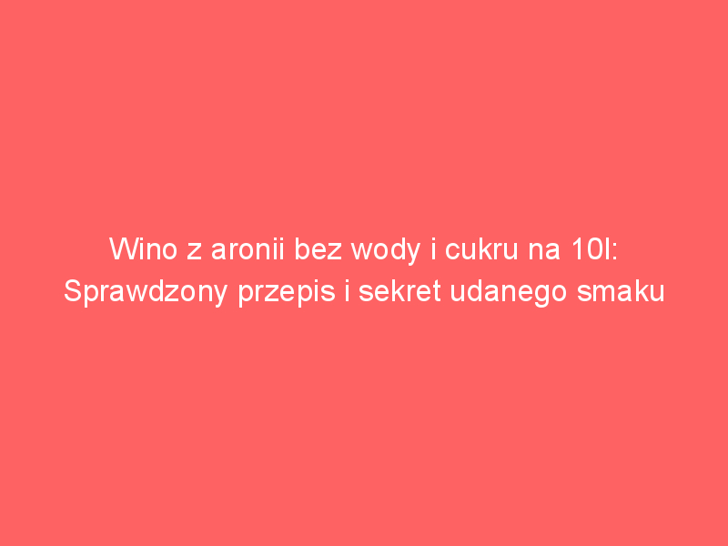 wino z aronii bez wody i cukru na 10l sprawdzony przepis i sekret udanego smaku 4437
