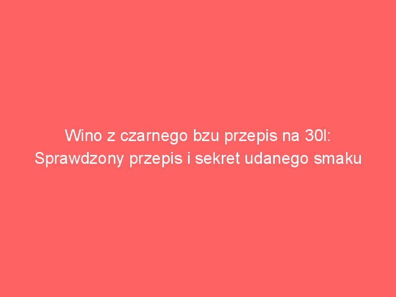 wino z czarnego bzu przepis na 30l sprawdzony przepis i sekret udanego smaku 4493