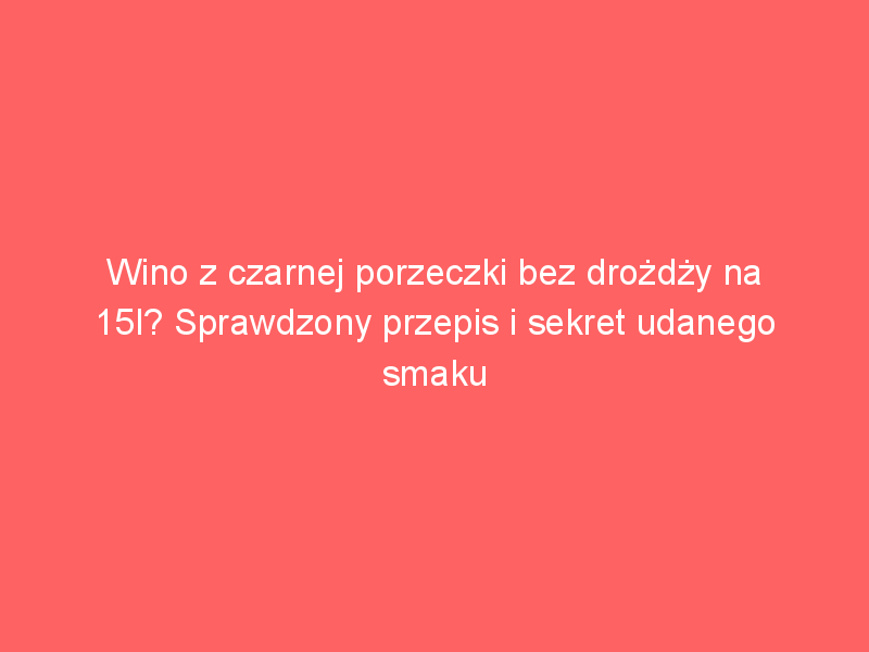 wino z czarnej porzeczki bez drozdzy na 15l sprawdzony przepis i sekret udanego smaku 4249